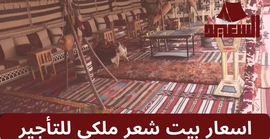 اسعار بيت شعر ملكي للتأجير